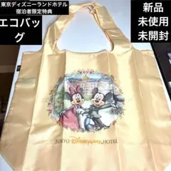 早い者勝ち！東京ディズニーランドホテル宿泊者限定特典【新品】非売品エコバッグ