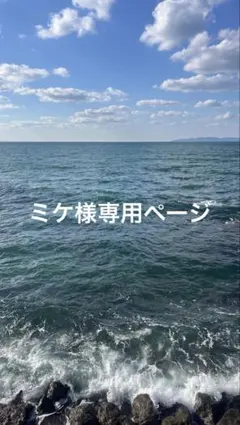 SNIDEL ラクーンミニニットワンピース ベージュワンピース レディース