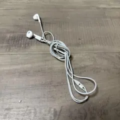 Apple純正　Lightning有線イヤホン　右耳✖︎