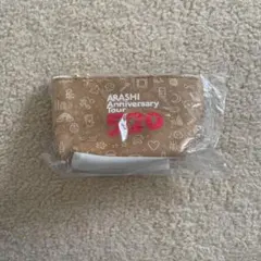 嵐　5×20 ミニポーチ