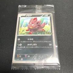 2025年最新】ポケモンカード ゾロア 116/BW-P プロモの人気