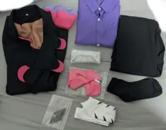 ポケモンZA カラスバ コスプレ ウィッグ 完成品 カットセット済み