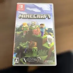 Minecraft Nintendo Switch