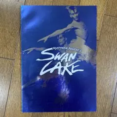 매튜 본의 스완 레이크 프로그램