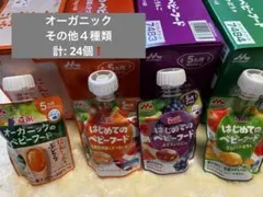 Item thumbnail for item 2efd3c9d-f003-4fb6-ad0b-b7e458c9f3eb