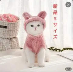 Item thumbnail for item 23b6a015-f902-468d-9b8c-c45f40f2da13