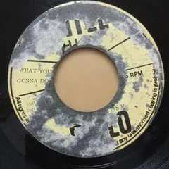 ジャパレゲ SHIBA YANKEE DON-CHA-KA-DON - メルカリ