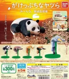 がけっぷちなやつら　みんな絶滅危惧種　全5種　バンダイ　ガシャポン　ガチャ