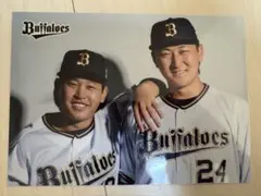 Buffaloes 選手写真