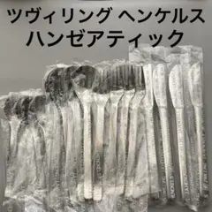ツヴィリング ヘンケルス ハンゼアティック ディナーカトラリーセット 4客のサムネイル