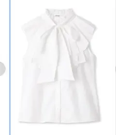 Item thumbnail for item 49c9e021-e413-47d1-a2a0-4e1ca93ac640