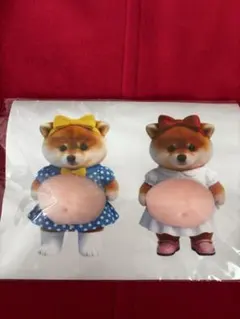 Item thumbnail for item 82557957-0fd7-4829-a9ed-8cd833ad8ec2