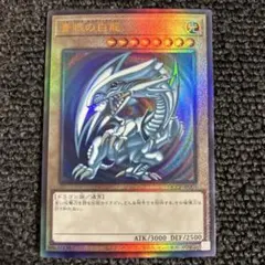 青眼の白龍 ブルーアイズホワイトドラゴン レリーフ