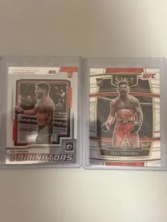 Item thumbnail for item 89785244-336c-4778-b9f9-b25071c305d5