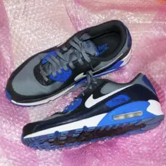 airmax90ゴアテックスGORE-TEXエアマックス90 30cmUS12