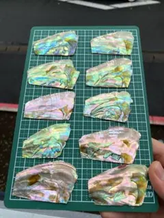 アワビ貝　15枚　沖縄県のアワビ貝　螺鈿細工　ハンドメイド　アクセサリー素材