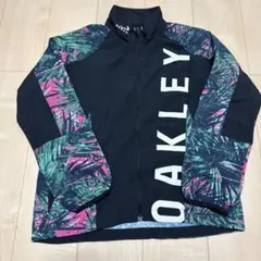 Item thumbnail for item cc378a89-ab65-43ea-8e50-3a547fc0a5bb