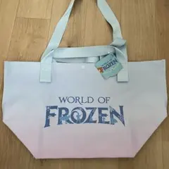 香港ディズニーランド　アナ雪　frozen ショッパー