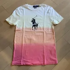 Polo Ralph Lauren グラデーション Tシャツ XS