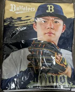 Item thumbnail for item af0bc555-5a10-4a32-89b2-5b24e346dee1