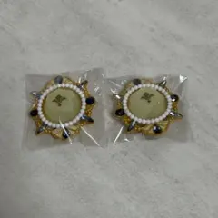 あんさんぶるスターズ スタライ10th リングライト 鳴上嵐