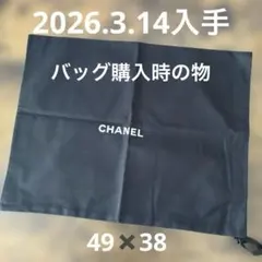 CHANEL シャネル　バッグ　 保存袋　巾着