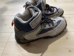 Item thumbnail for item 06fe9289-43c0-448c-bcd9-0485b4dd71f2