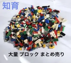 ブロック ミニブロック パーツ マルチカラー 知育玩具 大量 まとめ売り
