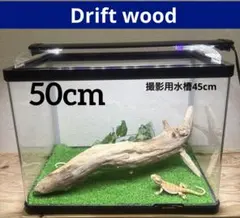 Item thumbnail for item 190fe60b-5d53-44f3-b8e4-b252489a382c