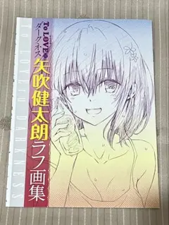 toloveるダークネス　矢吹健太郎　画集イラスト集セット 矢吹健太朗画業25周年記念イラスト集 Digital Art Collection High