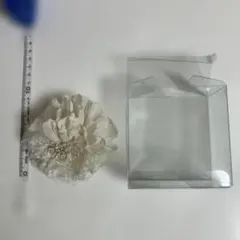 Item thumbnail for item 05d690a0-5bf0-478a-90e6-e709620a3596