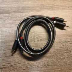 UGREEN RCA ケーブル 1M 2RCA to 2RCA(赤/白)