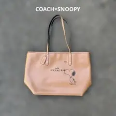 DISNEY X COACH アベニュー トート ウィズ スケートボード - メルカリ