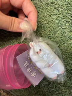 すきまハムスター マスコットフィギュア ジャンガリアンスノーホワイト　ガチャ