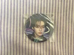 straykids スキズ リノ 缶バッジ エコパ