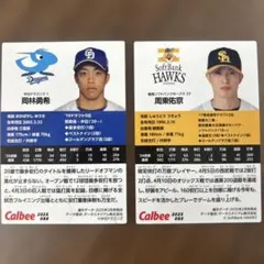 Item thumbnail for item fa821387-e3f8-4b59-9192-8c5ed9a37e66