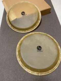 2025年最新】コンガ ヘッドの人気アイテム - メルカリ