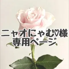 ニャオにゃむ♡様専用ページ