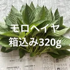 モロヘイヤ 箱込み320g ネコポスのサムネイル