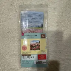 SnowManプロフィール必読です様 リクエスト 2点 まとめ商品