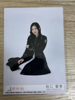 Item thumbnail for item 66c159b4-ae69-4ac6-8de9-a957b3ab6c4c