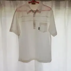 Item thumbnail for item a186df47-b87d-4672-ba39-e41fd9a9d7b1