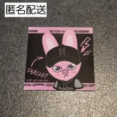 StrayKids PLAYGROUND ステッカー　チャンビン　トェッキ