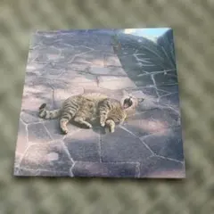the奥歯's おくばず おくば 風になったら CD - メルカリ