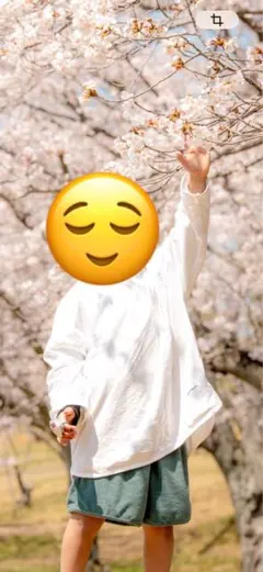 oatmeal セットアップ