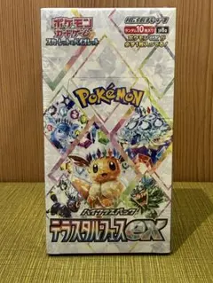 ポケモンカードゲーム テラスタルフェスex未開封BOX✖️2BOX - メルカリ