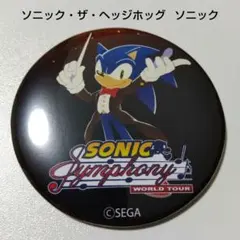 ソニック・ザ・ヘッジホッグ ソニックチーム Sonic team ピンバッジ