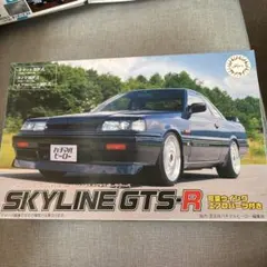 フジミ1/24スカイラインGTS-R ジャンク品