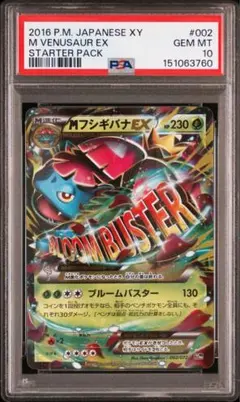 【PSA10】Mフシギバナex mカメックス 20th 連番　002 074 トリプルゲットキャンペーン フシギバナ カメックス eカード PSA10