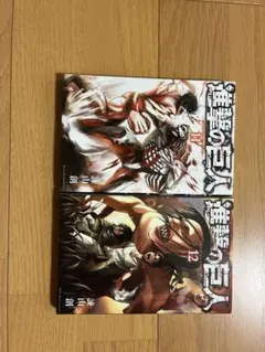 希少・非売品】デスノート DEATH NOTE コミックカバー 赤マル 付録